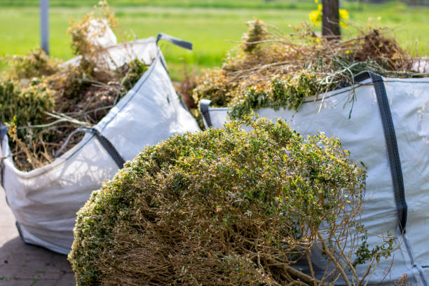 Best Residential Junk Removal  in Blacksburg, SC
